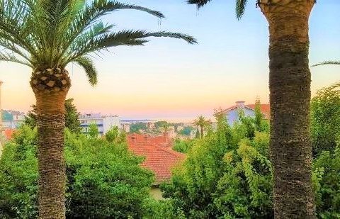 LE CANNET RESTO CLEF EN MAIN POUR LA SAISON 224000€ 1282