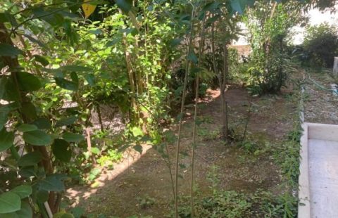 CANNET REZ DE JARDIN T4 DE 111M2 +  105m2 TERRASSES JARDIN ET COUR