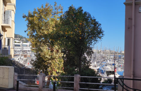 CANNES T3 DUPLEX AU CALME A 99 M  DU PALAIS DES FESTIVALS PROCHE PLAGE