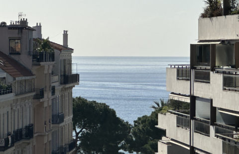 CANNES BANANE T4 109M2 VUE MER TERRASSE 80M2 PARKING