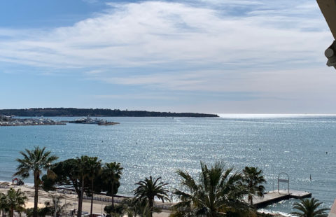 CANNES BANANE EMPLACEMENT No1 COMMERCE DE 200M2