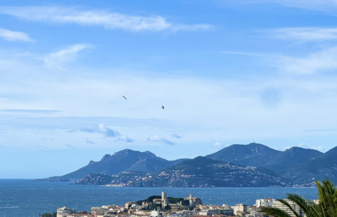 CANNES OXFORD VILLA T7 DE 280M2 VUE MER PANORAMIQUE PISCINE 2 GARAGES 2000M2