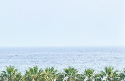CANNES DIRECT MER, POINTE CROISETTE T3 +65M2 VUE MER TERRASSE 12M2  PARKING CAVE